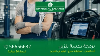 برمجة دعسة بنزين